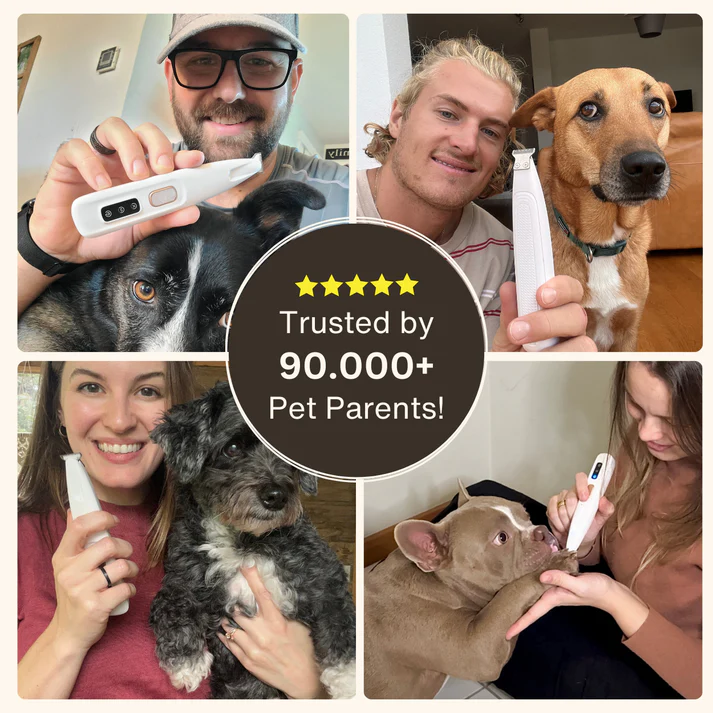 PawfectTrimmer™